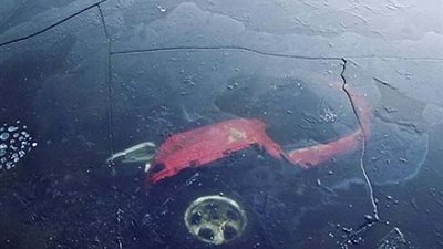 بالصور.. أغرب حوادث السيارات حول العالم