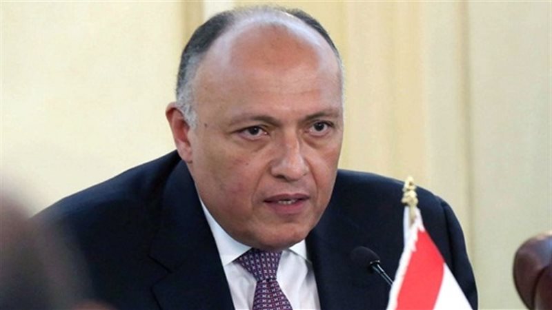  سامح شكري وزير الخارجية