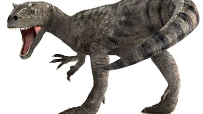 دراسة بريطانية: التماسيح تعالج البشر من السرطان