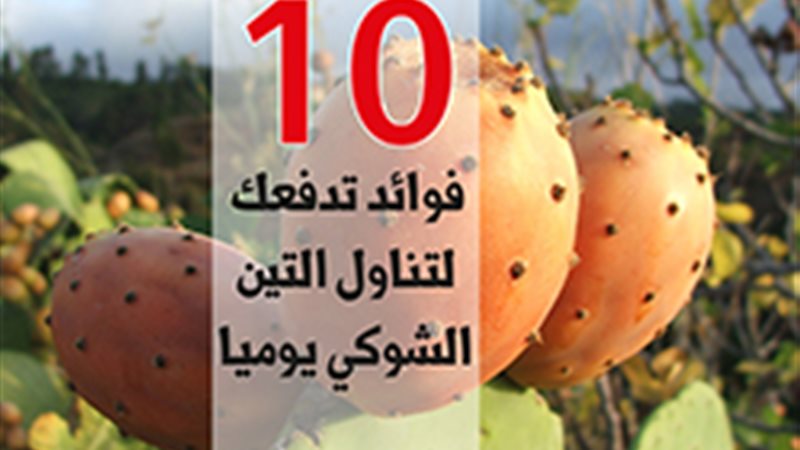 فيتو