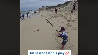 طفل يصطاد سمكة ضخمة دون مساعدة يثير الإعجاب (فيديو)