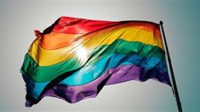 %73 من قراء «فيتو» يؤيدون إصدار قانون لتجريم المثلية الجنسية