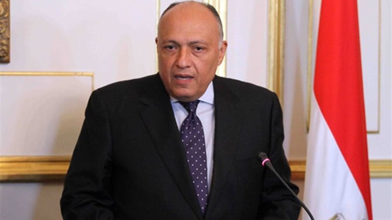 سامح شكرى وزير الخارجية