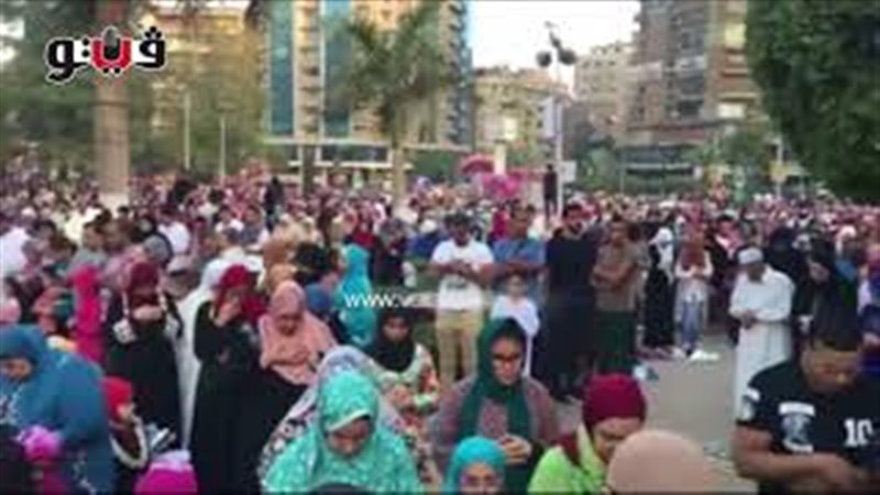 فيتو