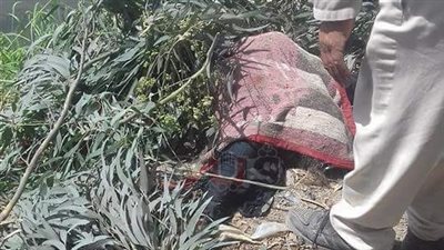 العثور على جثة سيدة مجهولة بترعة المحسمة في الإسماعيلية