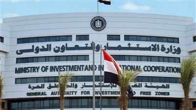 إنشاء وحدة للمستثمرين المصريين بالخارج بـ