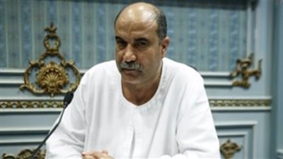 «زراعة النواب»: وقف توريد الأسماك للمجمعات الاستهلاكية يرفع أسعارها