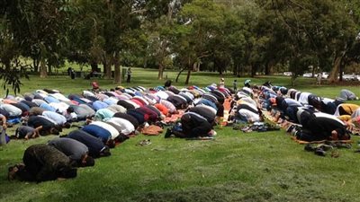 مرصد الأزهر يثمن تعامل المسلمين تجاه ضحايا حرائق الغابات في أستراليا