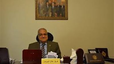 «حماة الوطن» يتراجع عن قرار فصل أبو المجد من رئاسة الهيئة البرلمانية