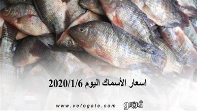 اسعار الأسماك اليوم 2020/1/6