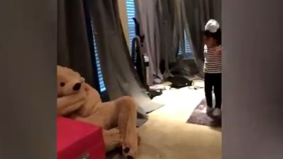 رد فعل صادم لطفلة تحرك دبٌّ أمامها (فيديو)