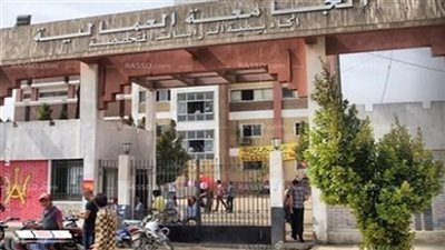روشتة تطوير «الجامعة العمالية».. «نقابات عمال مصر» تحدد 5 محاور للتنمية.. «المراغي» يطالب بإعادة الهيكلة وفصلها عن الوزارة.. تثقيف الكوادر العمالية وتأهيل القيادات النقاب