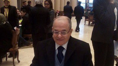 عضو بـ«تشريعية النواب»: البرلمان ملزم بتصعيد «الشوبكي»