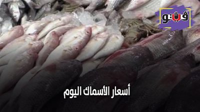 اسعار الأسماك اليوم | تعرف على الأسعار في سوق العبور اليوم 2019/7/14