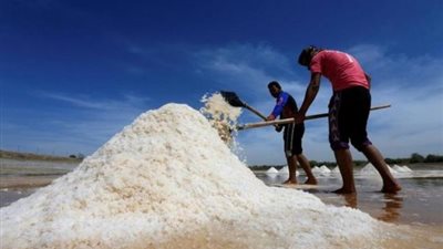 زيادة القيمة الإيجارية لأراضي الملاحات بالفيوم لـ 600 جنيه للفدان