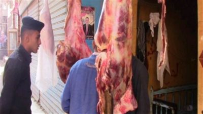 مصادرة 2.4 طن لحوم ودواجن غير صالحة للاستهلاك الآدمي داخل ثلاجة بالقليوبية