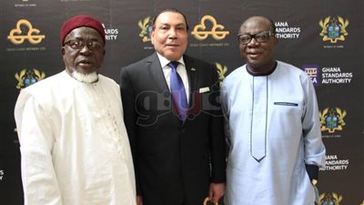 خبير بالشأن الأفريقي: مصر قادرة على وضع حلول لمشكلات القارة