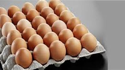 «شعبة الدواجن»: ارتفاع أسعار البيض واقترابه من تكلفة الإنتاج