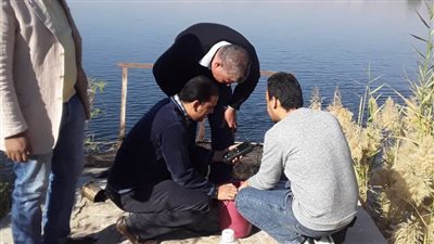 البيئة تنفذ أنشطة بيئية مكثفة في قنا | صور