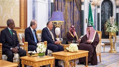 تأسيس مجلس الدول العربية والإفريقية المطلة على البحر الأحمر وخليج عدن