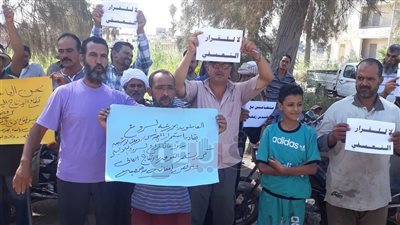 عمال السرو بدمياط: لا لإقالة المشرف على المزارع تعسفيا