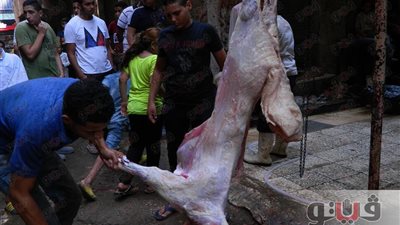 بالصور.. مظاهر ذبح الأضحيات بحدائق المعادي