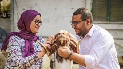 «الحب في الزريبة» جلسة تصوير طريفة لشاب وفتاة احتفالا بعيد الأضحى