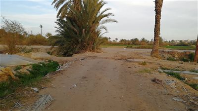 استياء المواطنين لتآكل طريق «السعيدية- فايد» بالإسماعيلية (صور)