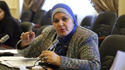 نائبة تتقدم بسؤال عاجل عن مخالفات بـ«الحديد والصلب» كشفتها «فيتو»