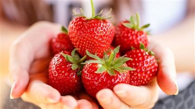 طريقة تخزين الفراولة