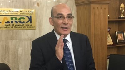 لجنة دائمة برئاسة وزير الزراعة لمتابعة الإنتاج المحلي من الدواجن