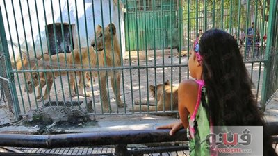 إقبال ضعيف على حديقة الحيوان بالإسكندرية في أول أيام العيد