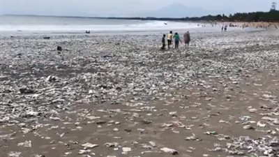 امتلاء شاطئ إندونيسي بالقمامة يصيب رواده بالصدمة (فيديو)