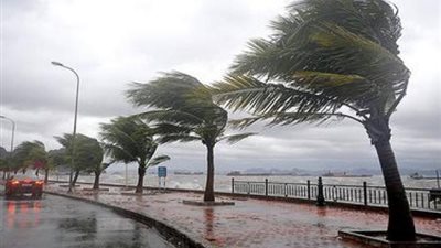 الأرصاد: أمطار رعدية على أغلب الأنحاء اليوم
