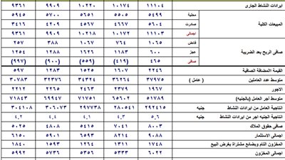 المؤشرات المالية للشركة القابضة المعدنية