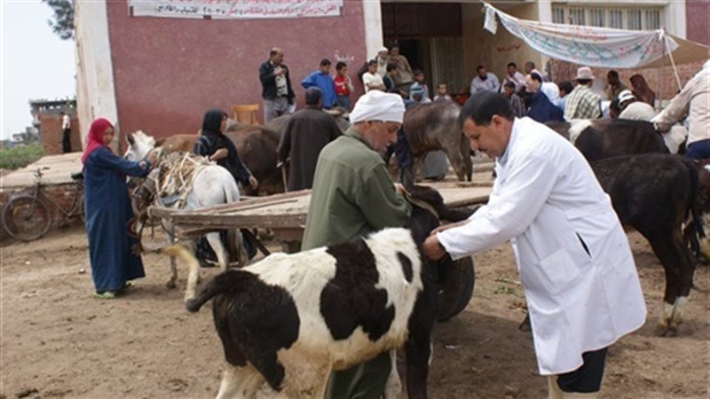 صورة ارشيفية
