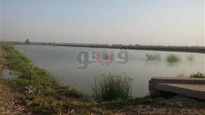 عمال المزارع السمكية بالشرقية: «ظروفنا صعبة ومحدش بيسأل فينا» (فيديو)