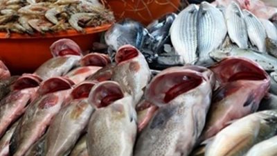 البلطي يسجل 20 جنيها والكندوز بـ 135 في الأسواق