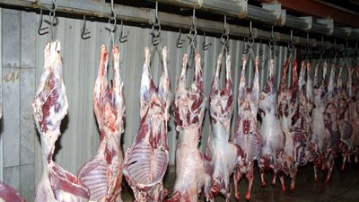 خبير بيطري: 300 جنيه سعر اللحوم المذبوحة على الموسيقى بالأحياء الراقية