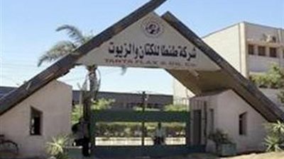 قيادي عمالي: «القابضة الكيماوية» تماطل في تنفيذ حكم عودة العمال للشركة