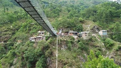 التنزه في الغابات يقي من السرطان وينظم وظائف القلب