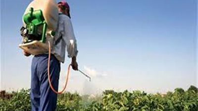 دراسة تكشف علاقة التعرض للمبيدات الحشرية وأمراض البدانة
