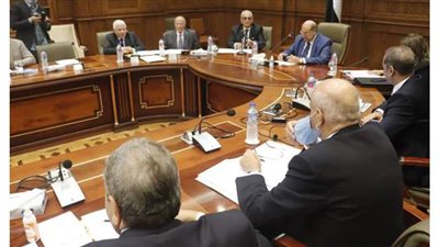 أمين مجلس الشيوخ: مناقشة مشروع اللائحة الداخلية قد يستغرق أكثر من جلسة