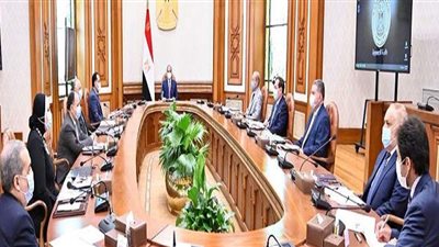 السيسي يثني على تحقيق مؤشرات اقتصادية إيجابية ويبحث استراتيجية توطين صناعة المركبات | فيديو