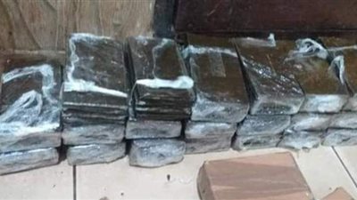 أمن الغربية يحبط تهريب ١٢٠ طربة حشيش بقيمة ١.٥ مليون جنيه بطنطا