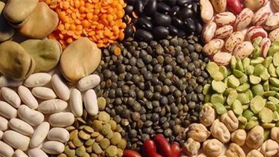 أسعار البقوليات اليوم الأحد٢٠٢٠/١١/22