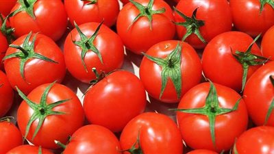 جمعية رجال الاعمال تكشف حقيقة تأثير التصدير على ارتفاع الطماطم