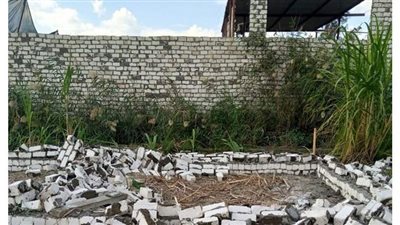 إزالة 9 حالات تعد بـ ٣ مراكز في البحيرة