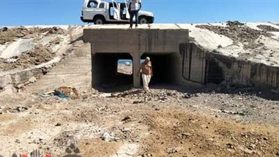 رئيس مدينة سفاجا: مراجعة السدود استعدادا لموسم الأمطار |صور