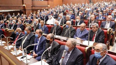 نص مشروع اللائحة الداخلية لمجلس الشيوخ